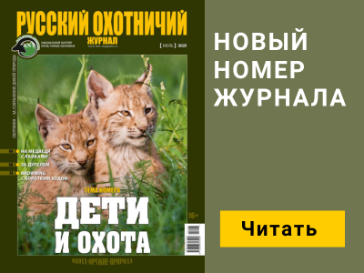 Баннер журнала мобильный